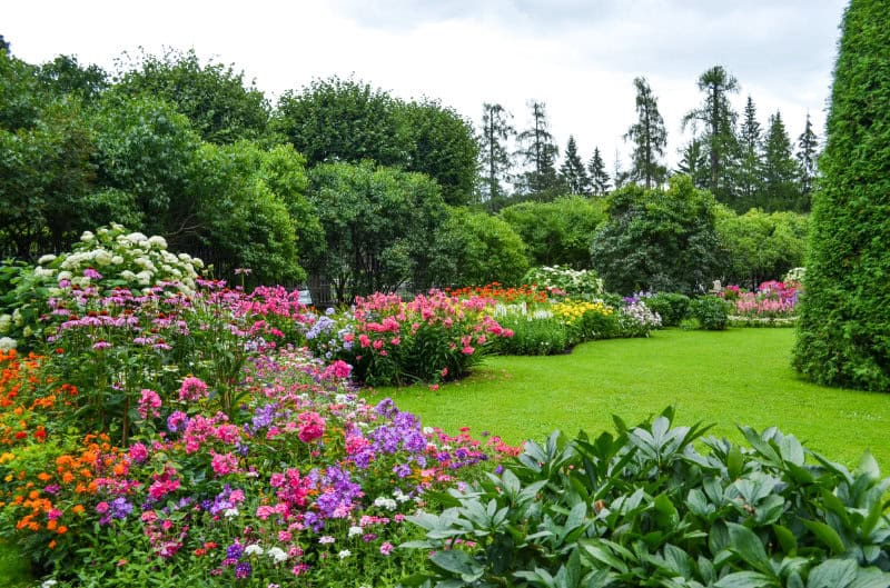 Summer garden in Saint Petersburg city, landscape. Beautiful par